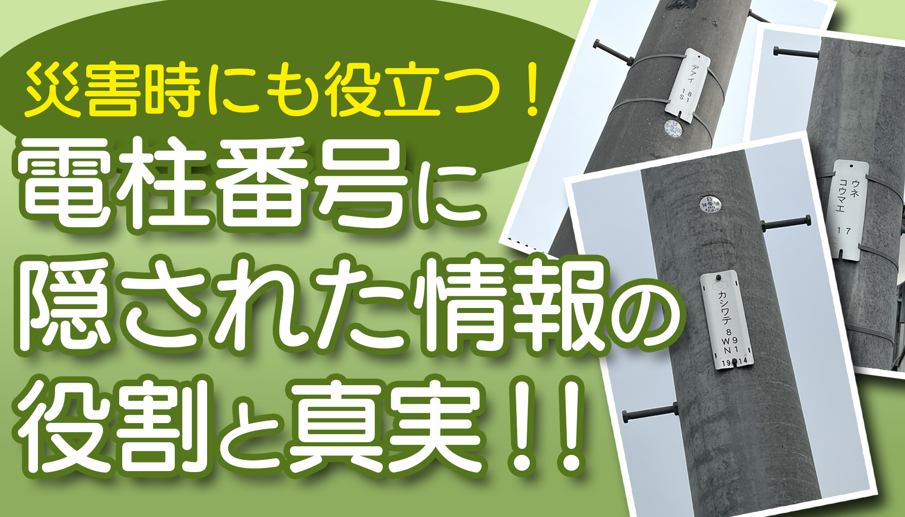 災害時にも役立つ！電柱番号に隠された情報の役割と真実！！